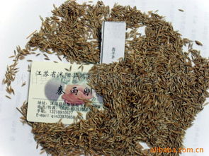 沭陽縣新河鎮(zhèn)新河街鴻翔花卉苗木場(chǎng)花卉種子與種苗產(chǎn)品列表及種植指南
